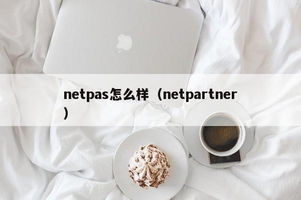 netpas怎么样（netpartner）